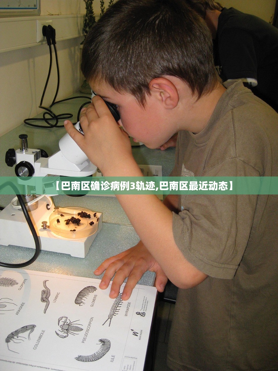 【巴南区确诊病例3轨迹,巴南区最近动态】