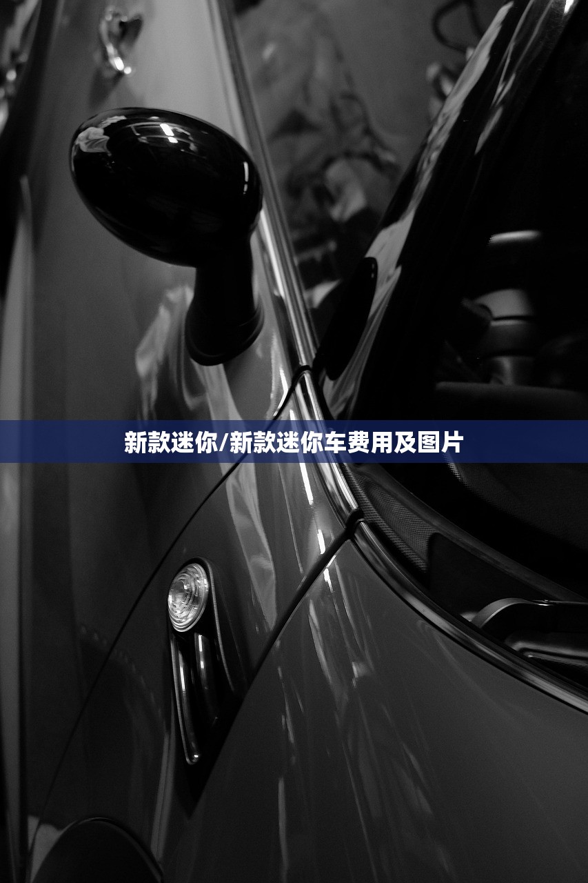 新款迷你/新款迷你车费用及图片 新款迷你/新款迷你车费用及图片