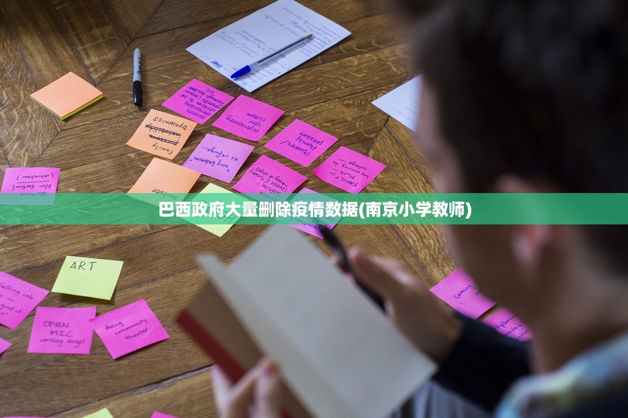 巴西政府大量删除疫情数据(南京小学教师)