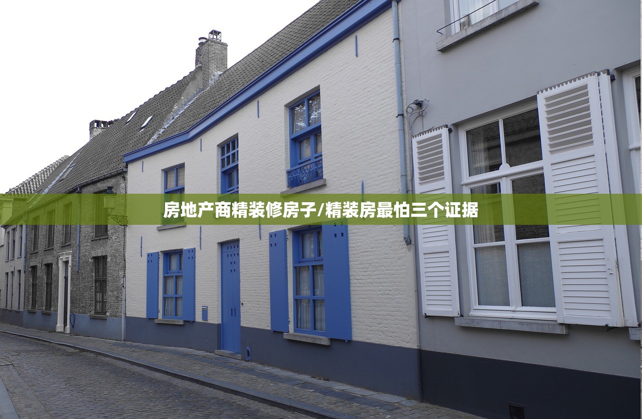 房地产商精装修房子/精装房最怕三个证据