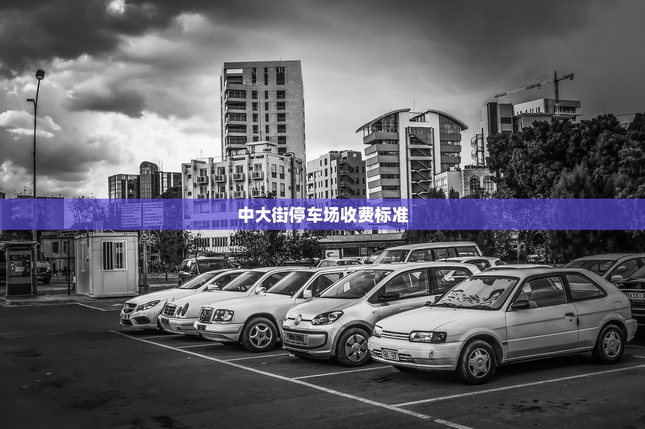 中大街停车场收费标准