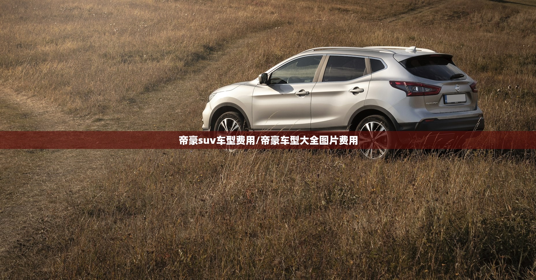 帝豪suv车型费用/帝豪车型大全图片费用