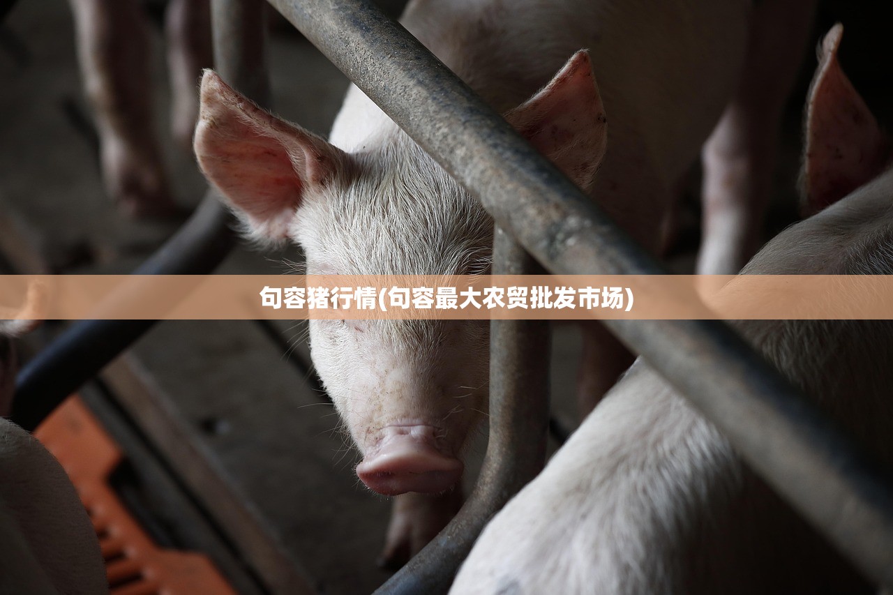 句容猪行情(句容最大农贸批发市场)