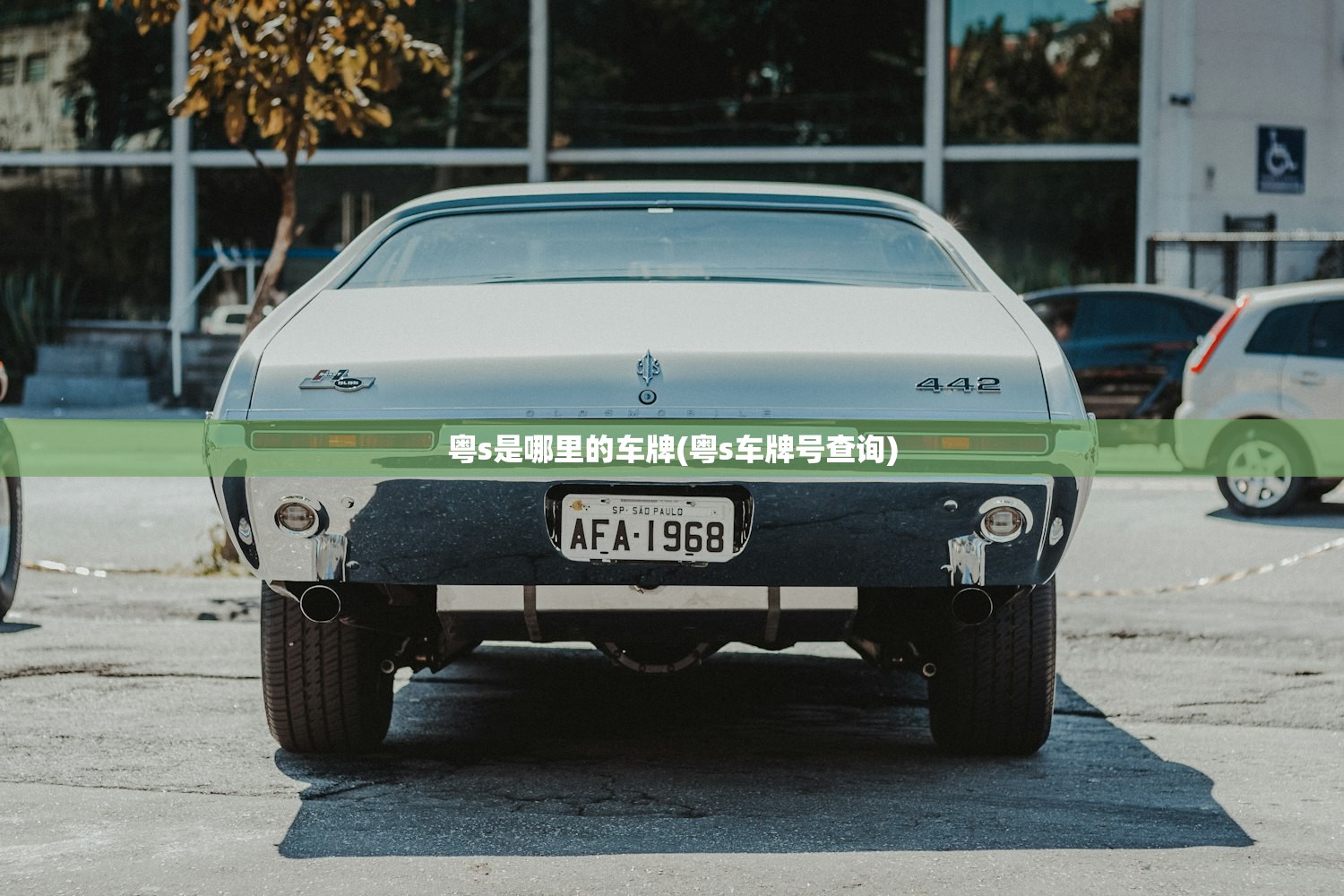 粤s是哪里的车牌(粤s车牌号查询)
