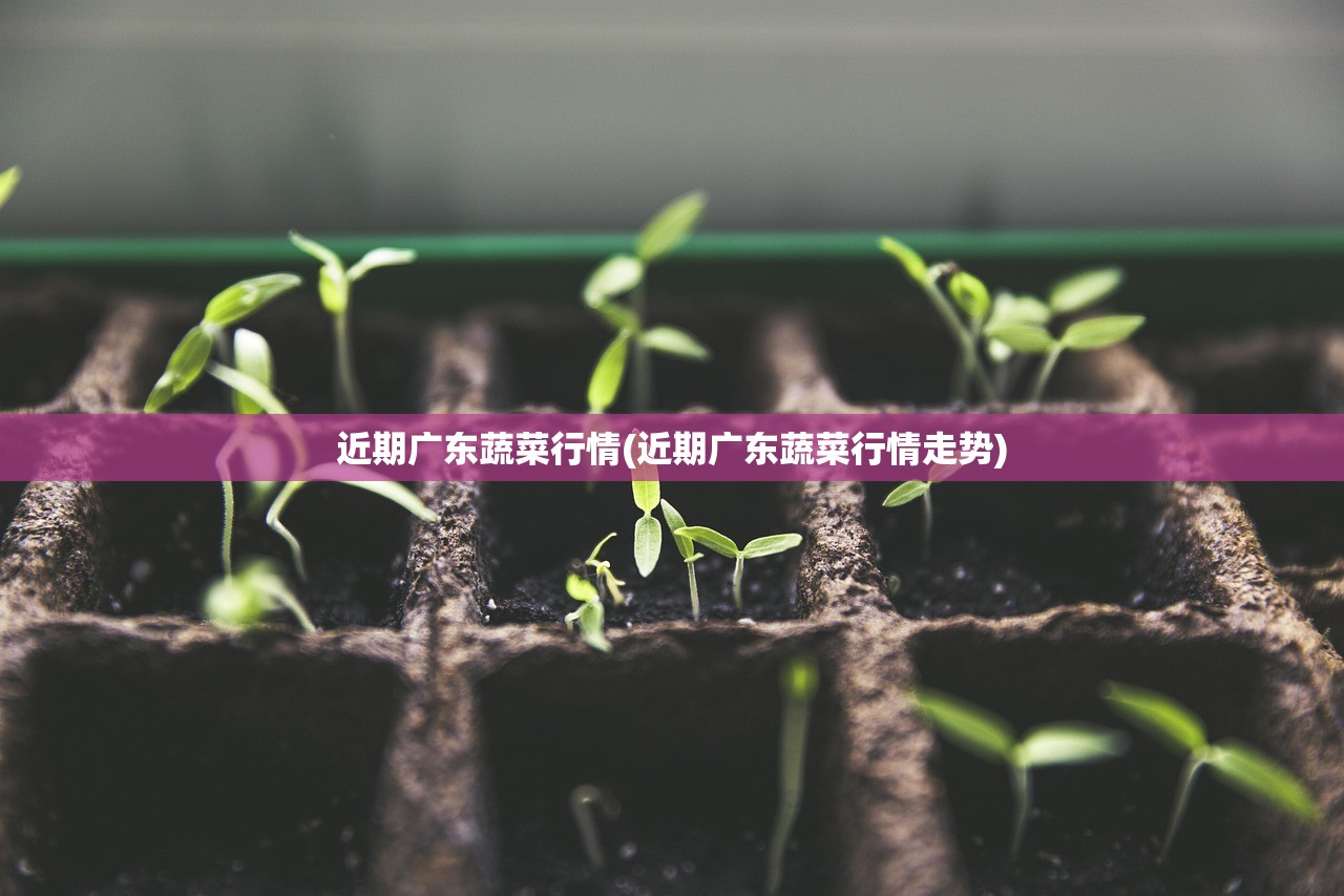 近期广东蔬菜行情(近期广东蔬菜行情走势) 近期广东蔬菜行情(近期广东蔬菜行情走势)