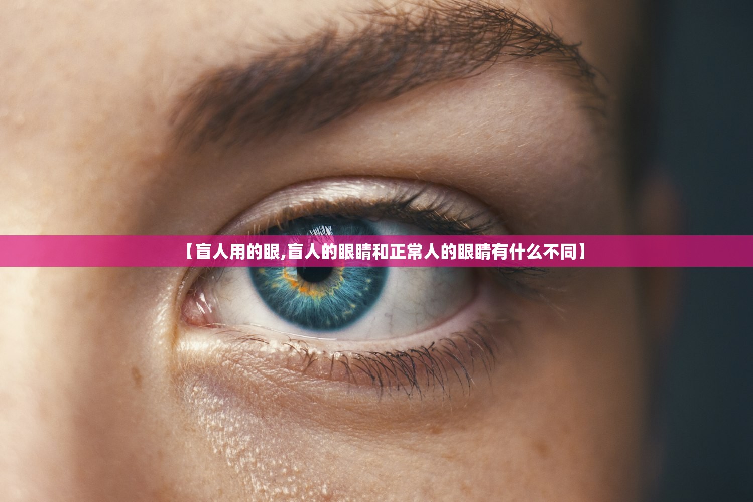 【盲人用的眼,盲人的眼睛和正常人的眼睛有什么不同】