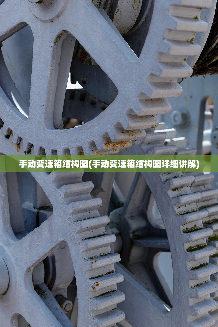 手动变速箱结构图(手动变速箱结构图详细讲解)