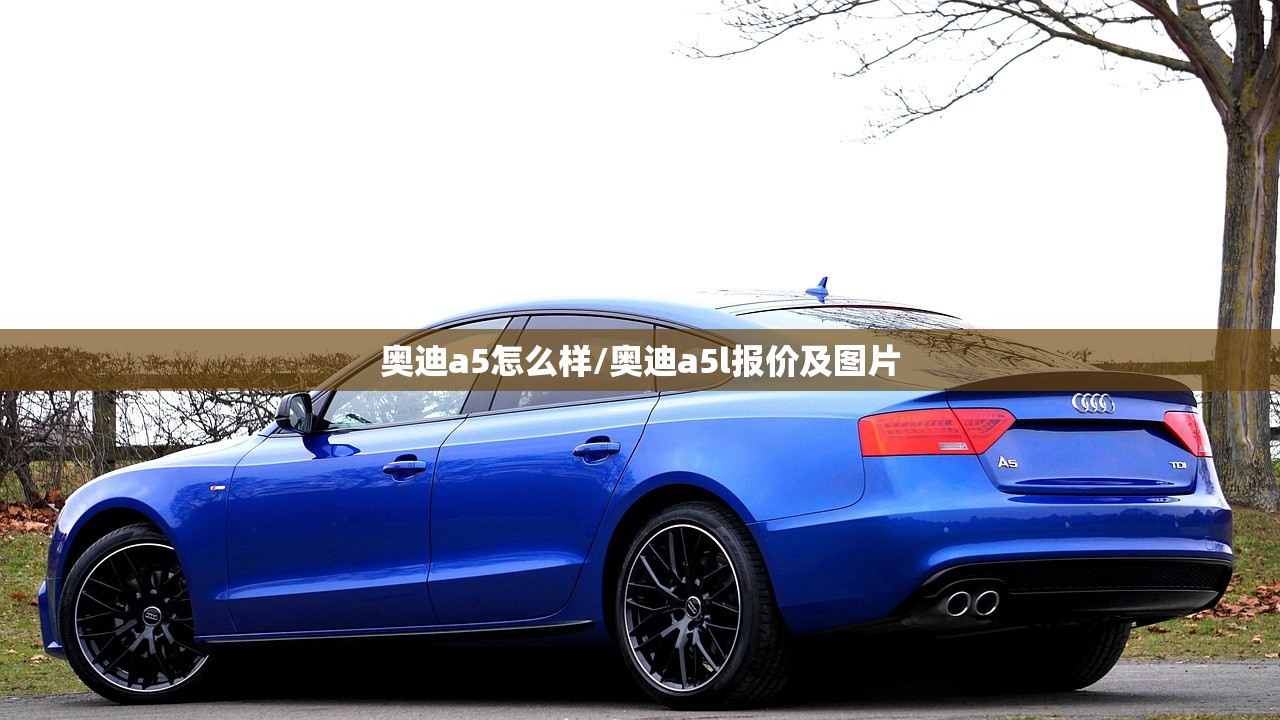 奥迪a5怎么样/奥迪a5l报价及图片