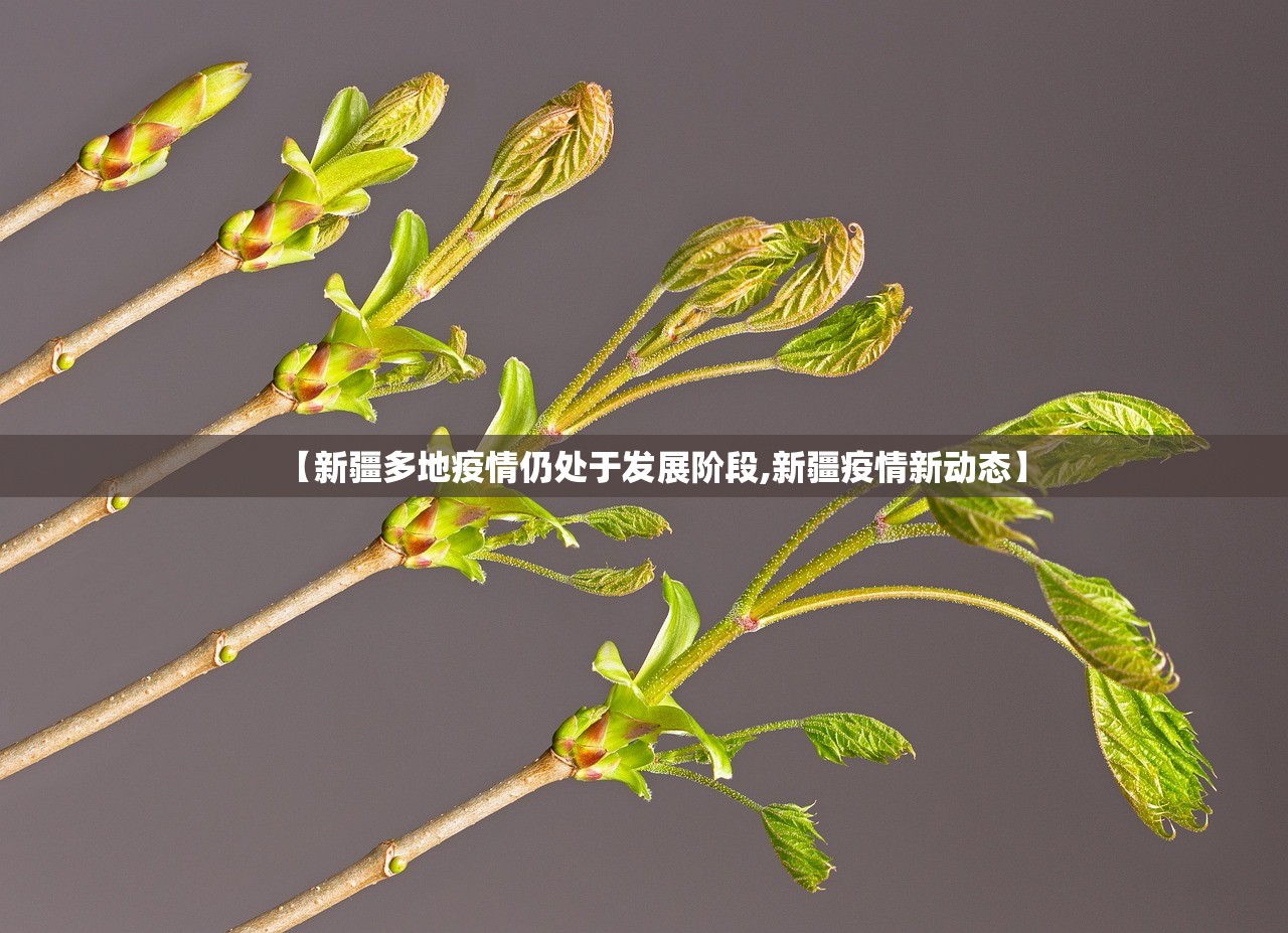 【新疆多地疫情仍处于发展阶段,新疆疫情新动态】 【新疆多地疫情仍处于发展阶段,新疆疫情新动态】