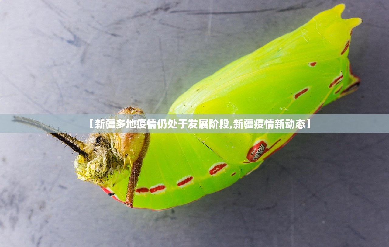 【新疆多地疫情仍处于发展阶段,新疆疫情新动态】 【新疆多地疫情仍处于发展阶段,新疆疫情新动态】