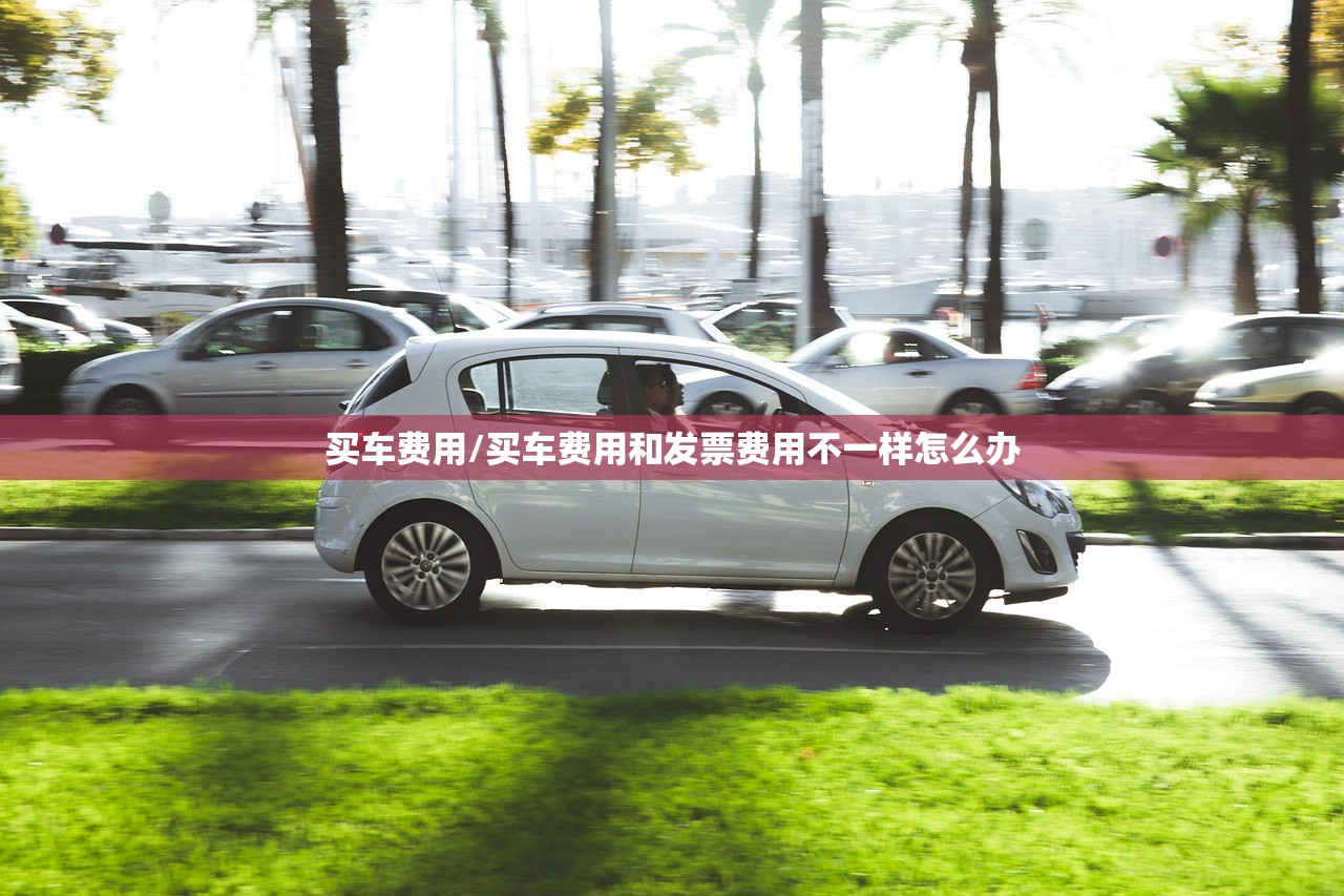 买车费用/买车费用和发票费用不一样怎么办 买车费用/买车费用和发票费用不一样怎么办