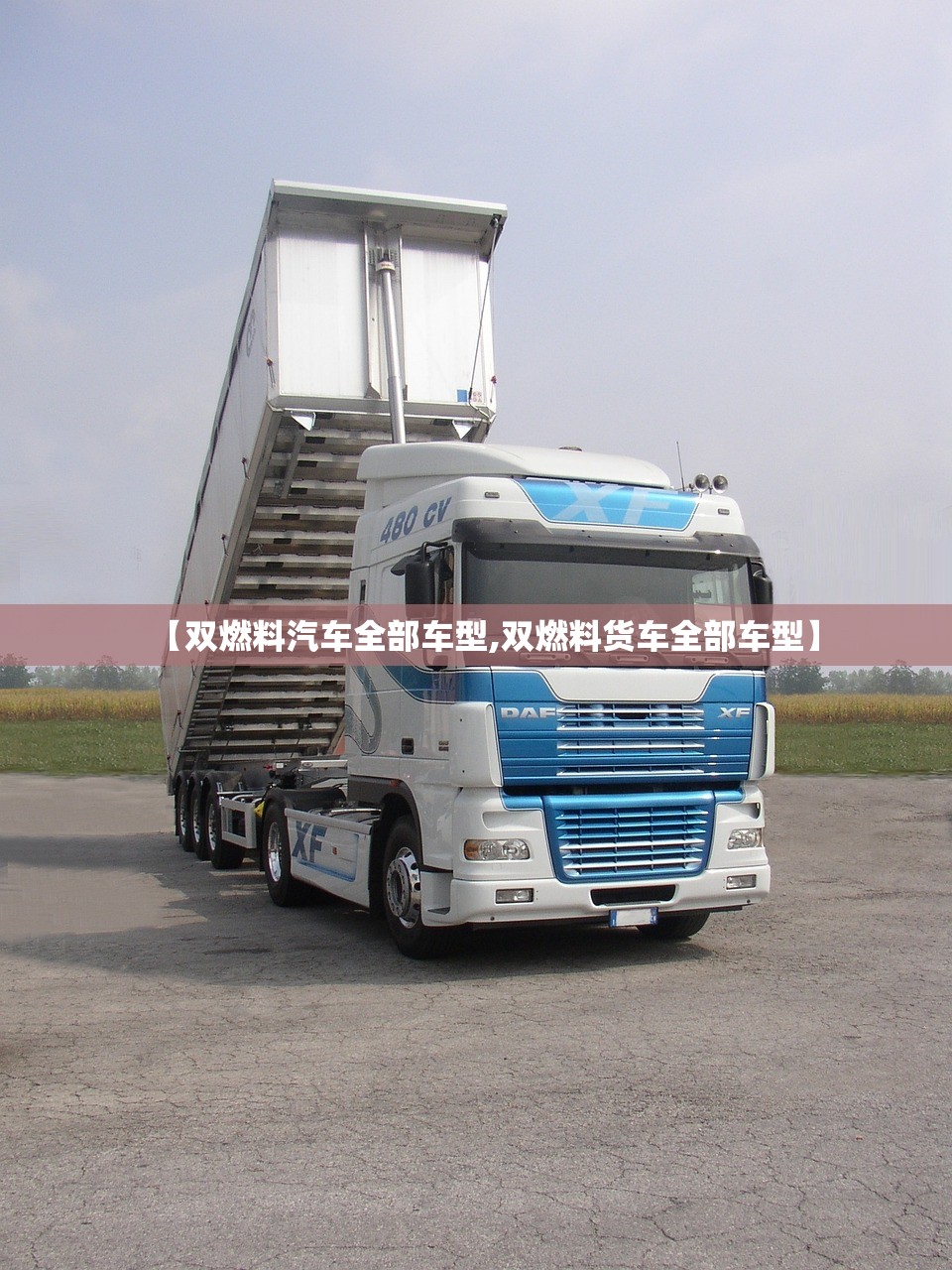 【双燃料汽车全部车型,双燃料货车全部车型】 【双燃料汽车全部车型,双燃料货车全部车型】