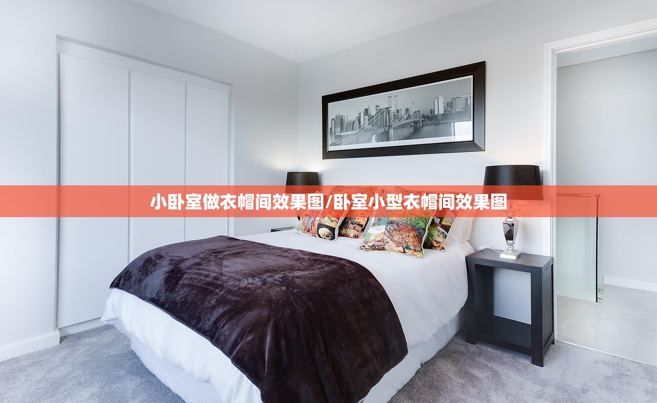 小卧室做衣帽间效果图/卧室小型衣帽间效果图