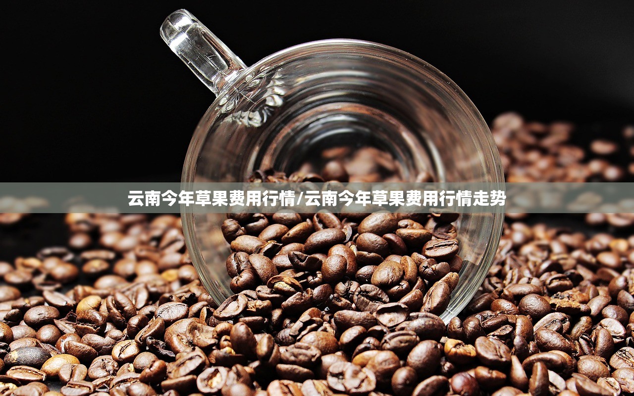云南今年草果费用行情/云南今年草果费用行情走势
