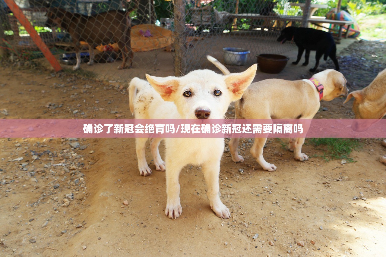 确诊了新冠会绝育吗/现在确诊新冠还需要隔离吗