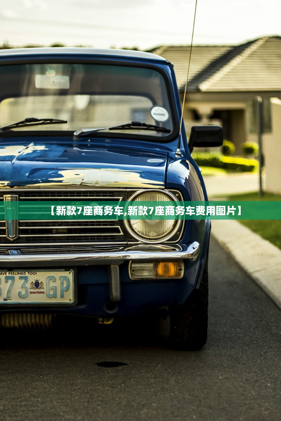 【新款7座商务车,新款7座商务车费用图片】