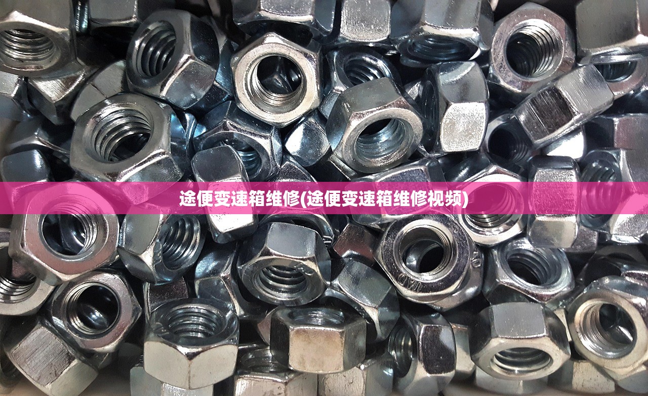 途便变速箱维修(途便变速箱维修视频) 途便变速箱维修(途便变速箱维修视频)