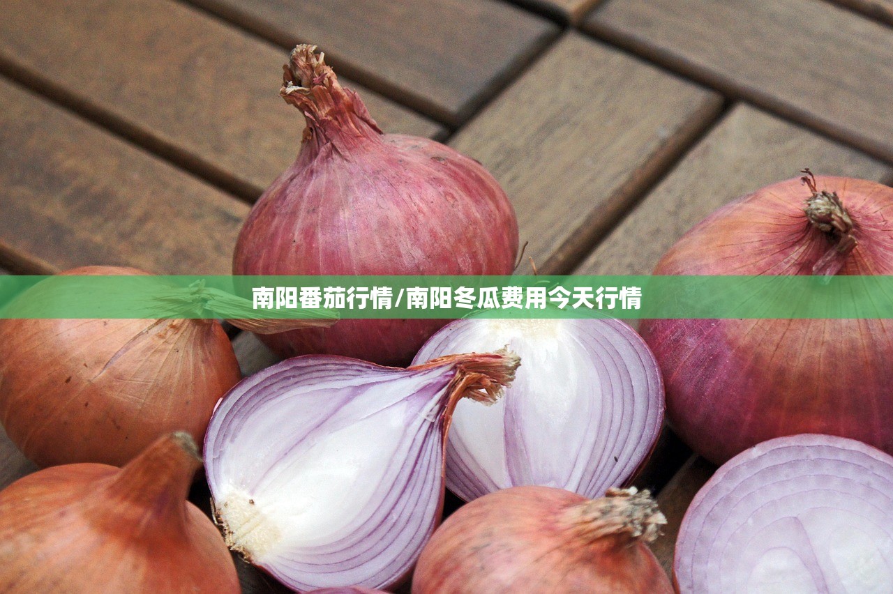 南阳番茄行情/南阳冬瓜费用今天行情 南阳番茄行情/南阳冬瓜费用今天行情