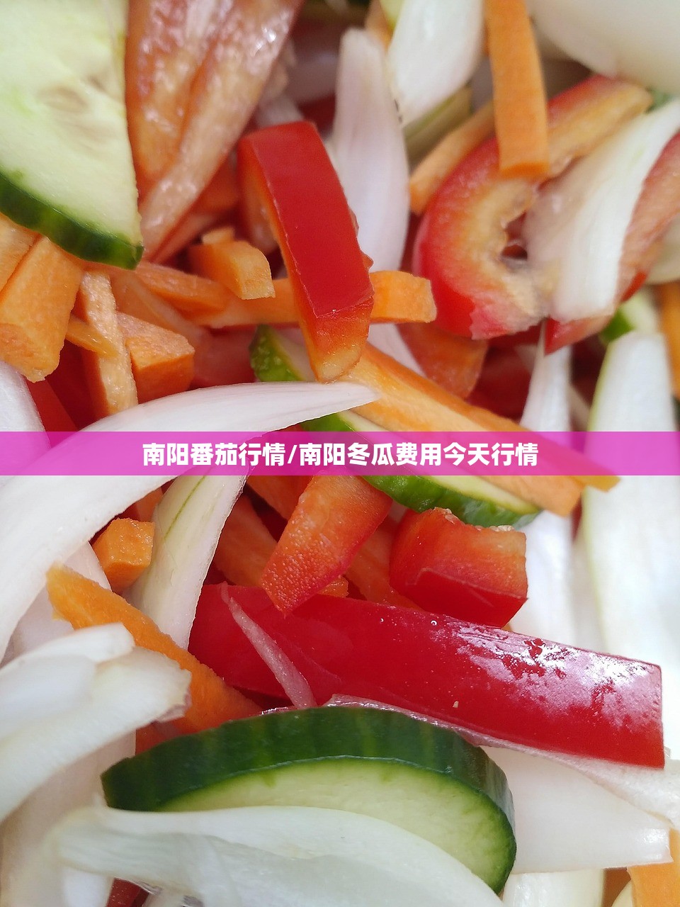 南阳番茄行情/南阳冬瓜费用今天行情 南阳番茄行情/南阳冬瓜费用今天行情