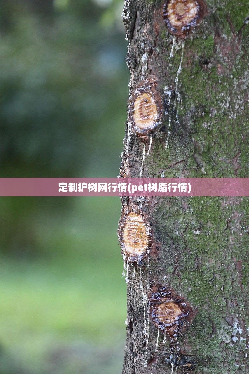 定制护树网行情(pet树脂行情)