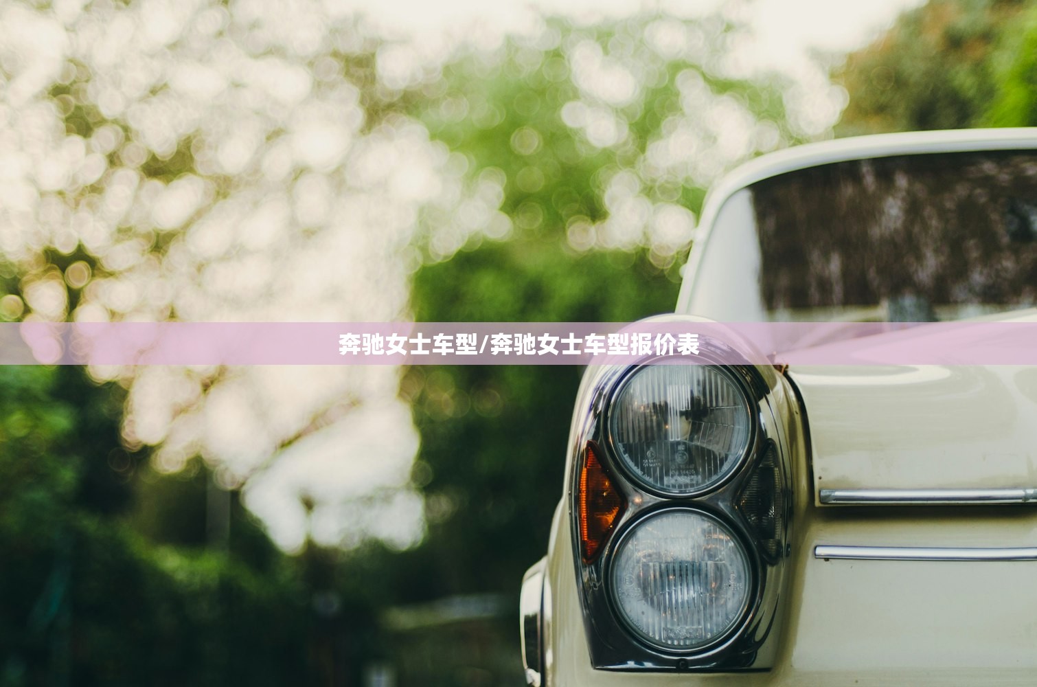 奔驰女士车型/奔驰女士车型报价表 奔驰女士车型/奔驰女士车型报价表