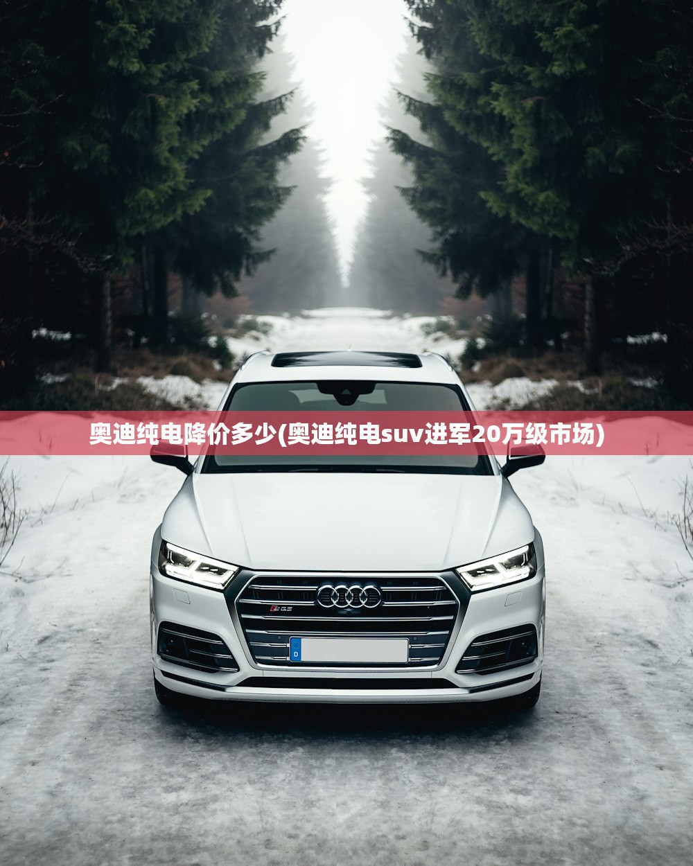 奥迪纯电降价多少(奥迪纯电suv进军20万级市场) 奥迪纯电降价多少(奥迪纯电suv进军20万级市场)