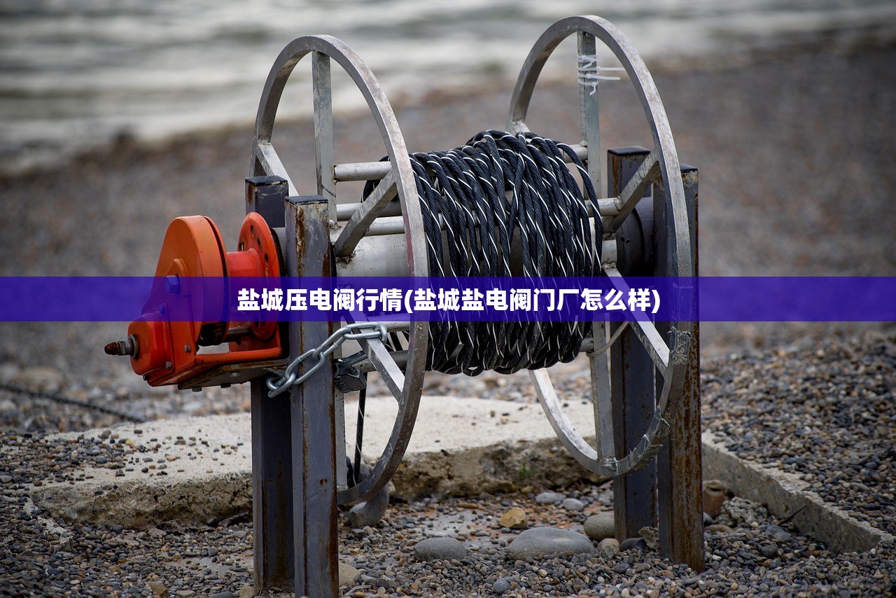 盐城压电阀行情(盐城盐电阀门厂怎么样) 盐城压电阀行情(盐城盐电阀门厂怎么样)