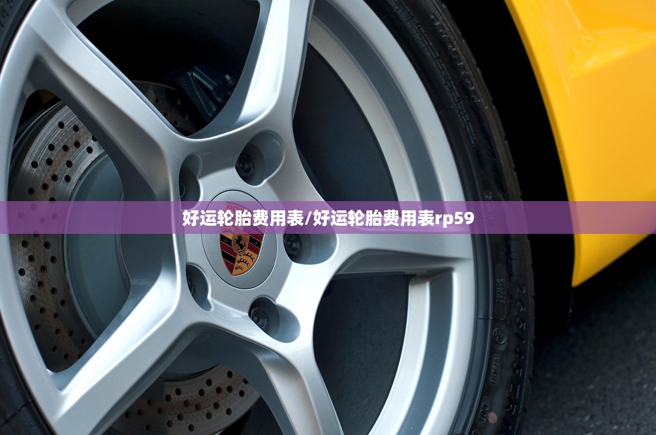好运轮胎费用表/好运轮胎费用表rp59