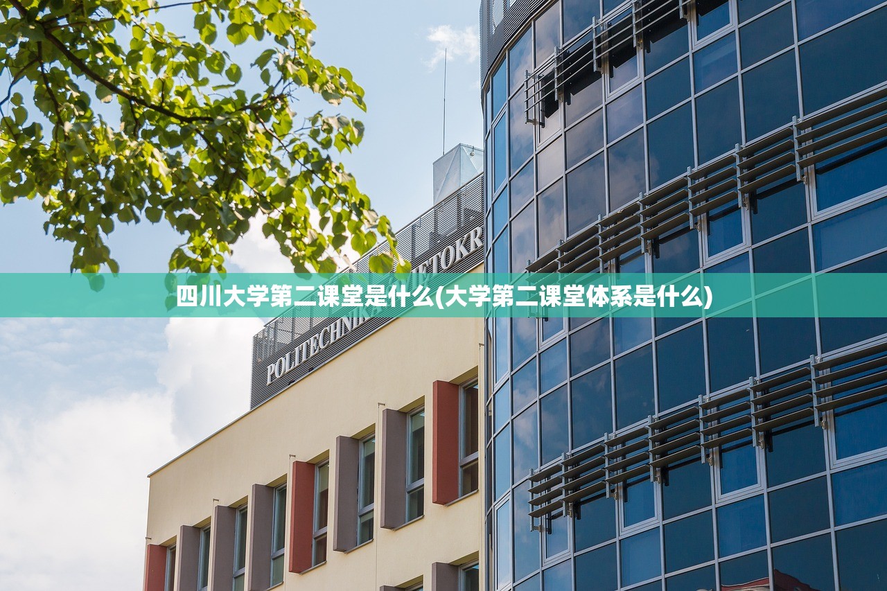 四川大学第二课堂是什么(大学第二课堂体系是什么)