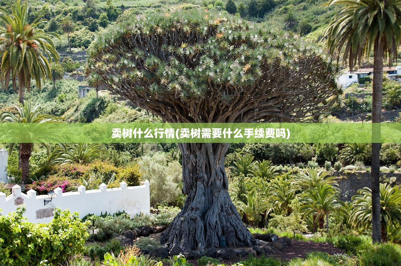 卖树什么行情(卖树需要什么手续费吗)