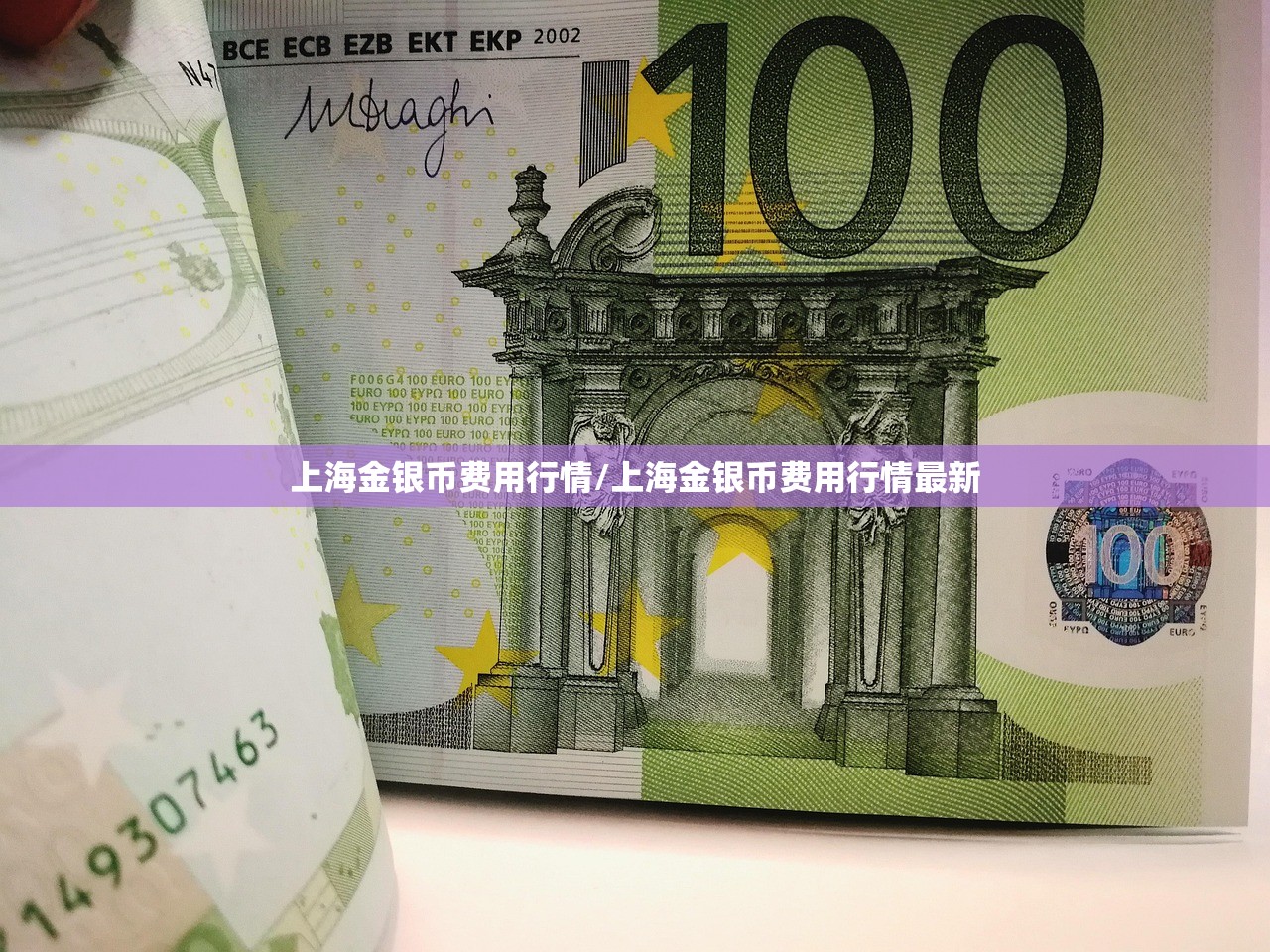 上海金银币费用行情/上海金银币费用行情最新 上海金银币费用行情/上海金银币费用行情最新