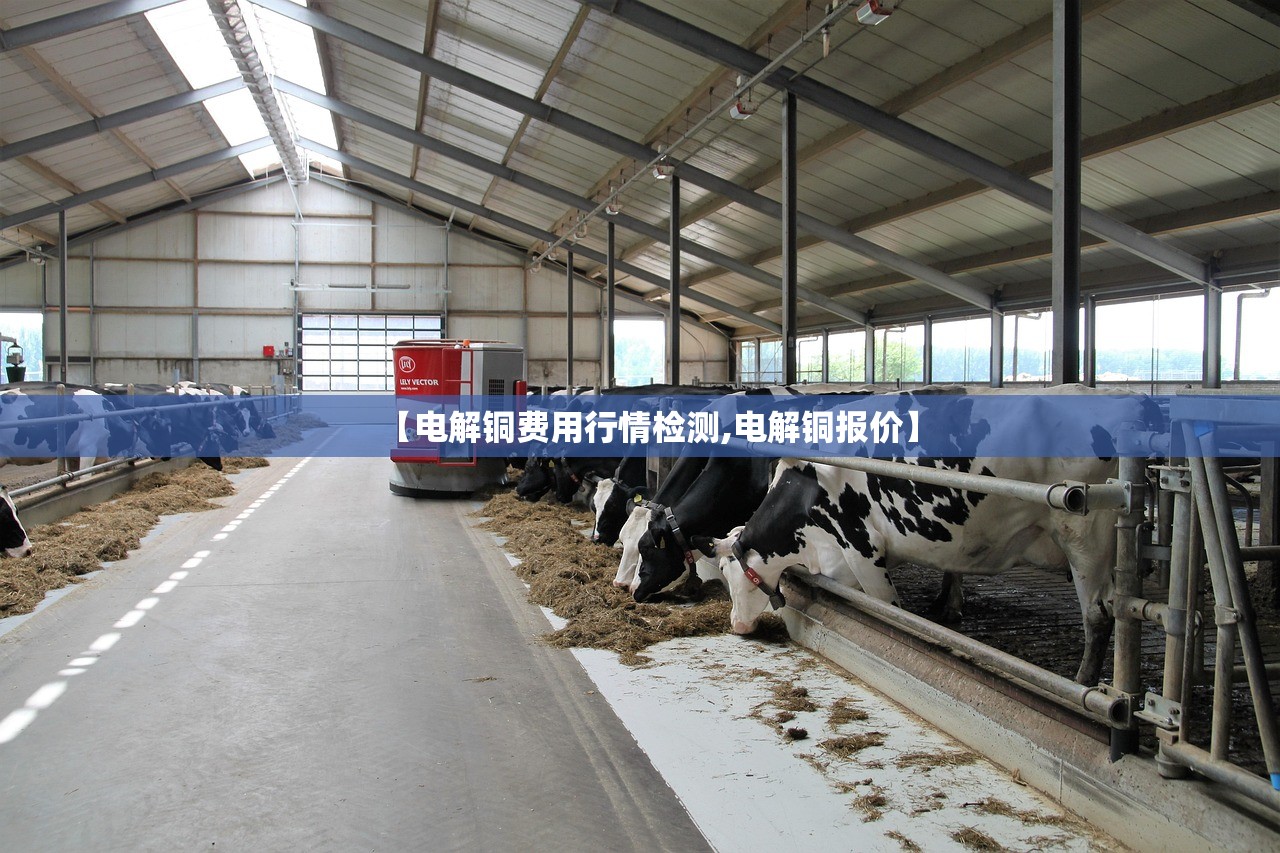 【电解铜费用行情检测,电解铜报价】