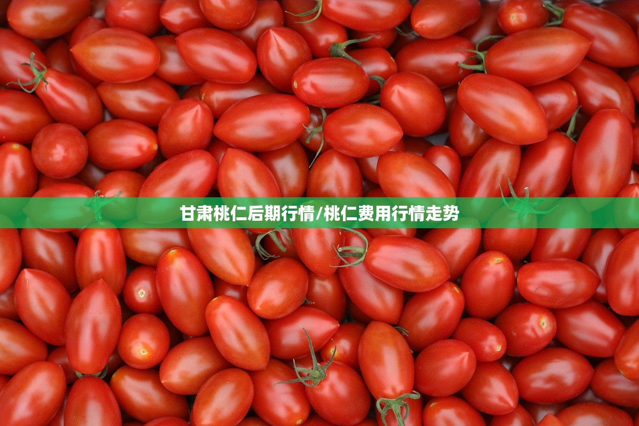 甘肃桃仁后期行情/桃仁费用行情走势