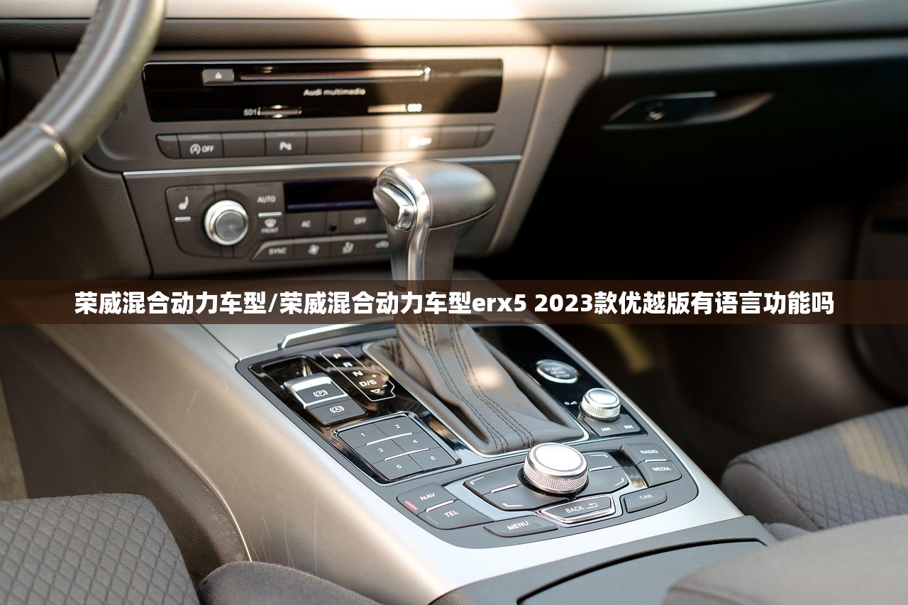 荣威混合动力车型/荣威混合动力车型erx5 2023款优越版有语言功能吗