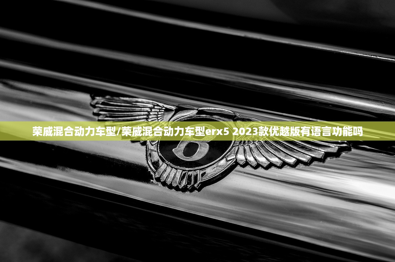 荣威混合动力车型/荣威混合动力车型erx5 2023款优越版有语言功能吗 荣威混合动力车型/荣威混合动力车型erx5 2023款优越版有语言功能吗