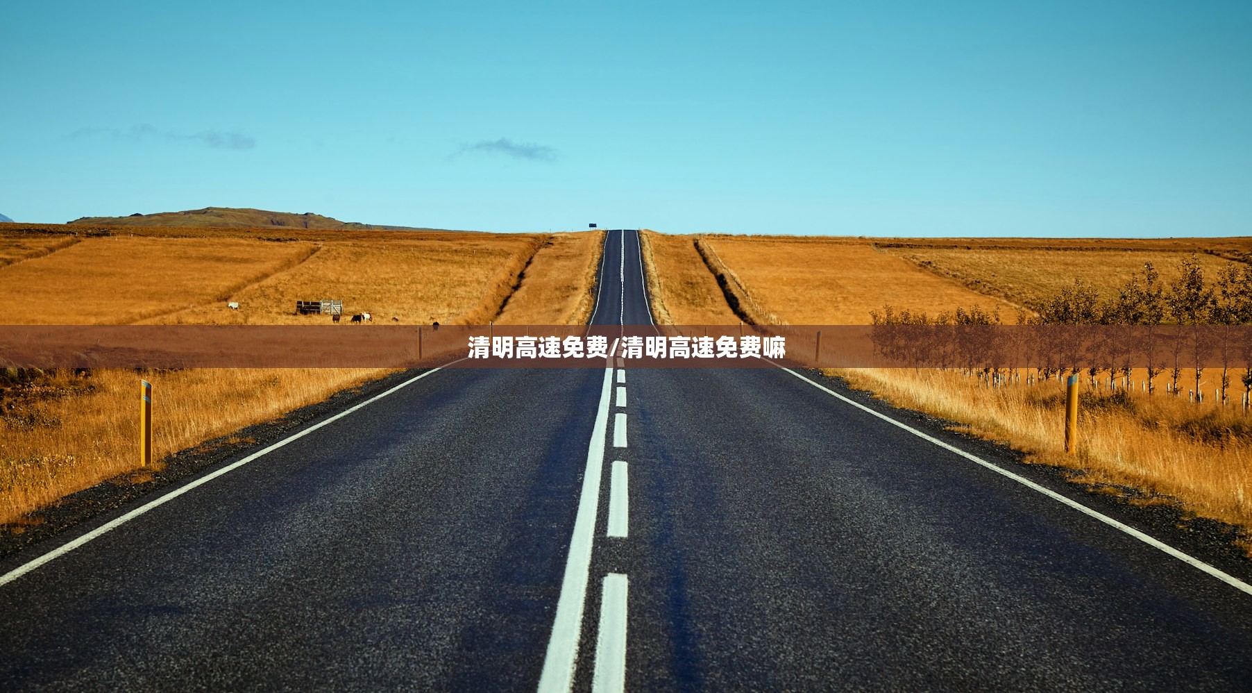 清明高速免费/清明高速免费嘛 清明高速免费/清明高速免费嘛