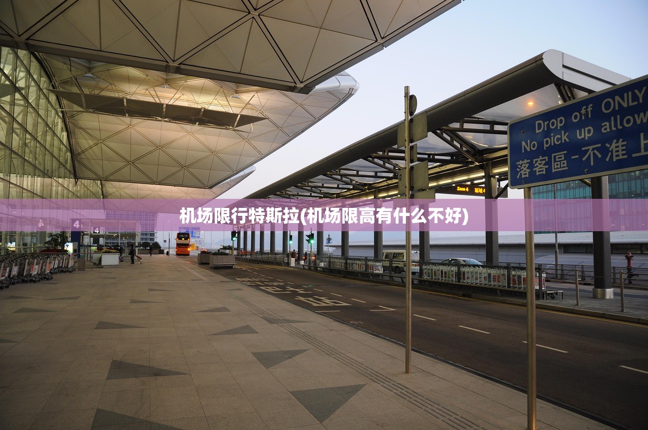 机场限行特斯拉(机场限高有什么不好) 机场限行特斯拉(机场限高有什么不好)