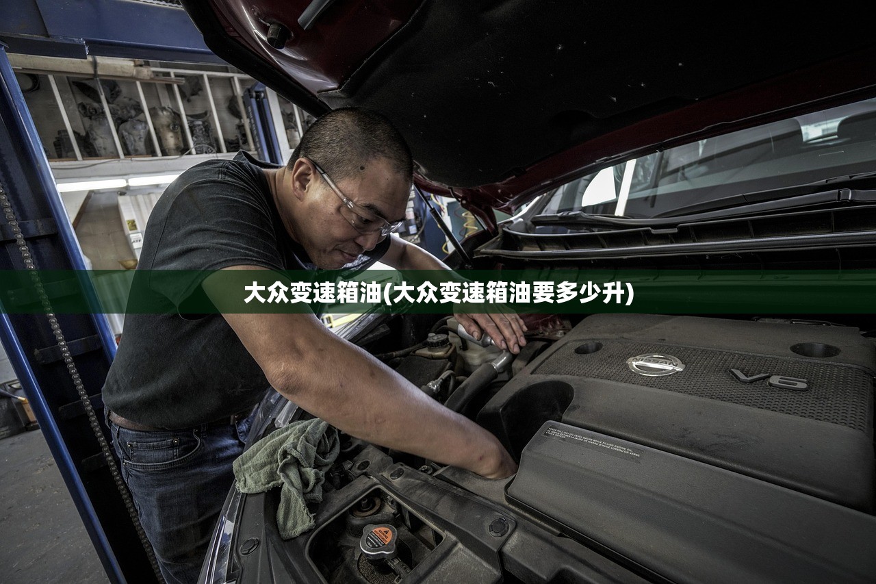 大众变速箱油(大众变速箱油要多少升)