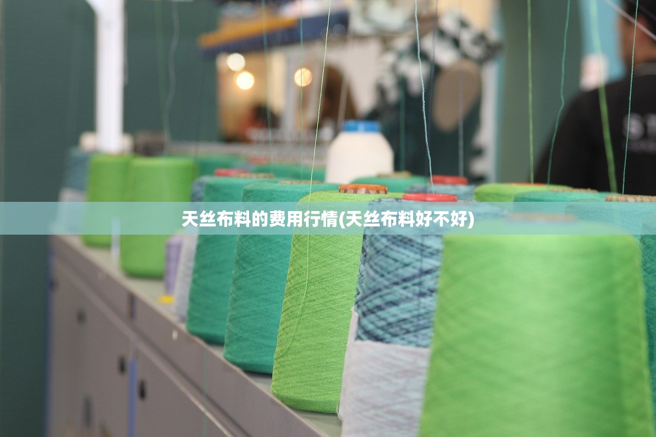 天丝布料的费用行情(天丝布料好不好)
