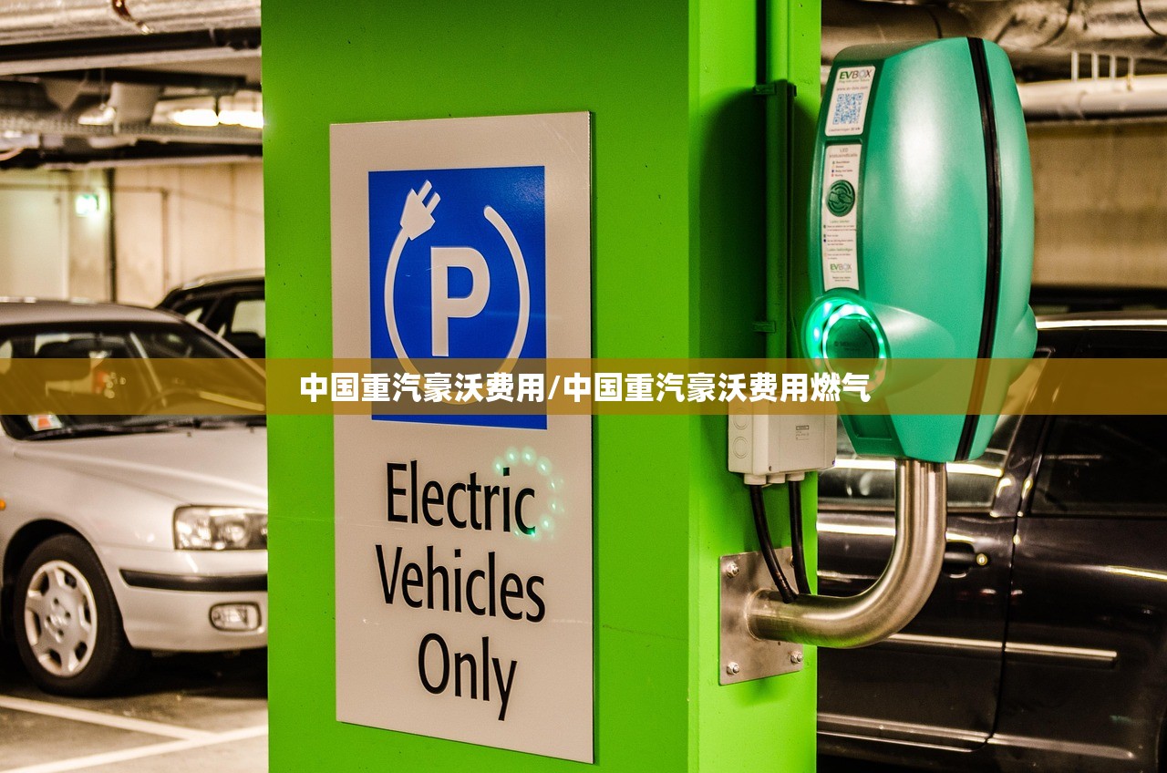 中国重汽豪沃费用/中国重汽豪沃费用燃气