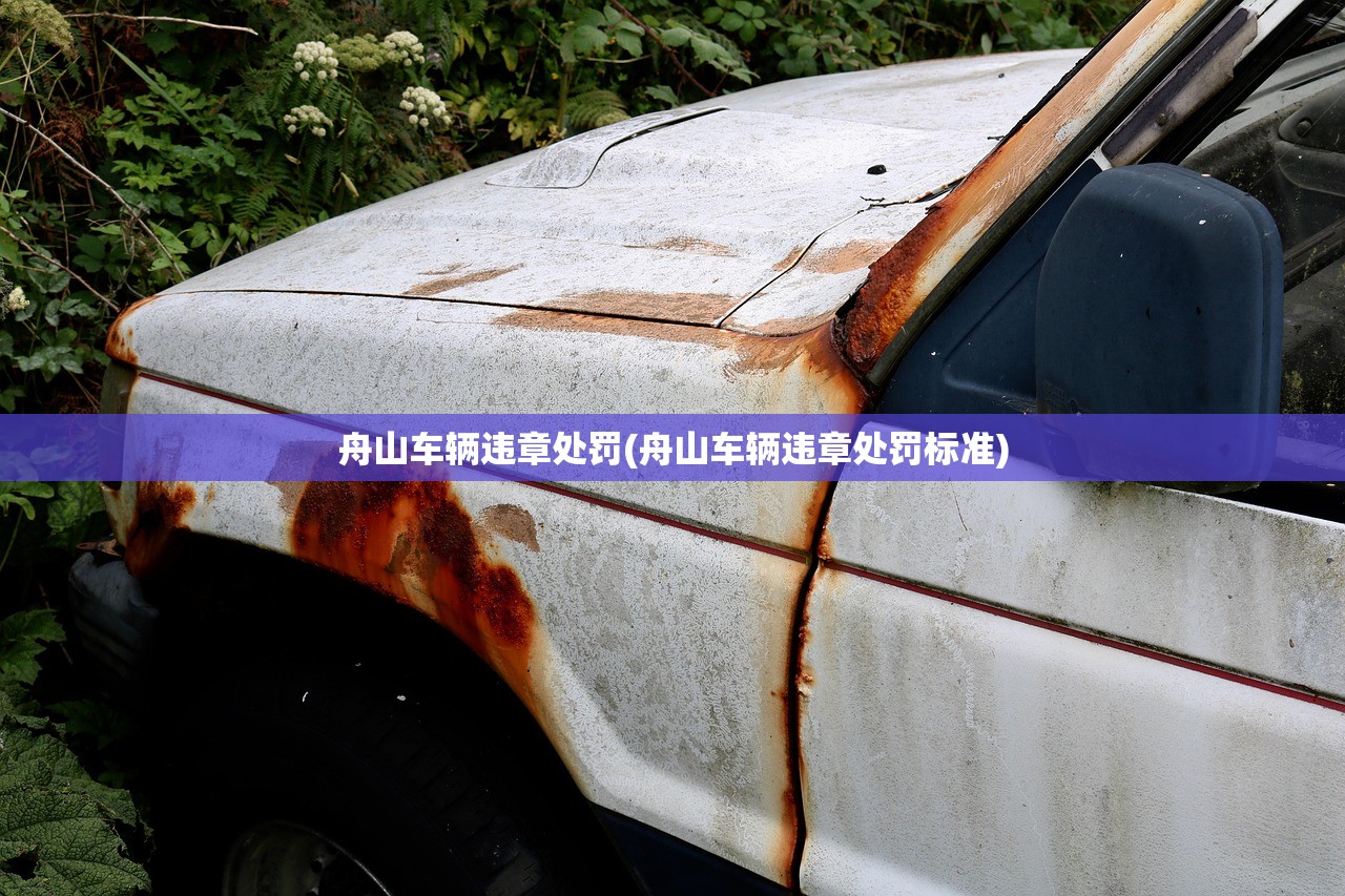 舟山车辆违章处罚(舟山车辆违章处罚标准) 舟山车辆违章处罚(舟山车辆违章处罚标准)