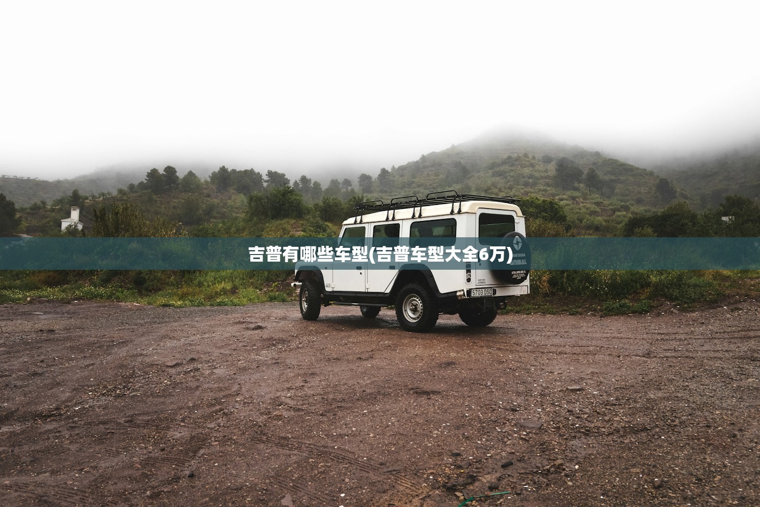 吉普有哪些车型(吉普车型大全6万)