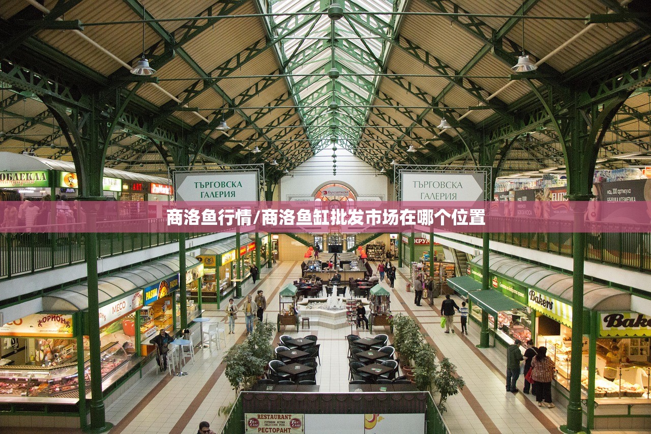 商洛鱼行情/商洛鱼缸批发市场在哪个位置 商洛鱼行情/商洛鱼缸批发市场在哪个位置