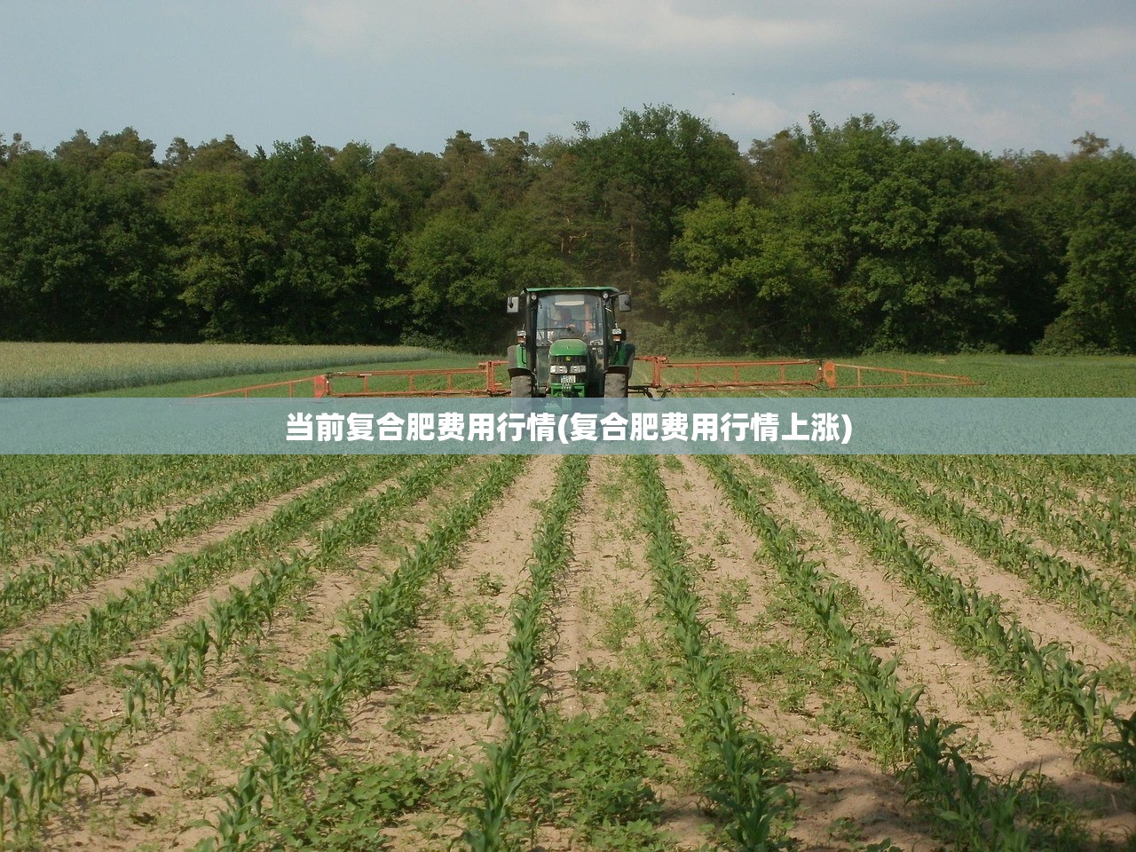 当前复合肥费用行情(复合肥费用行情上涨)