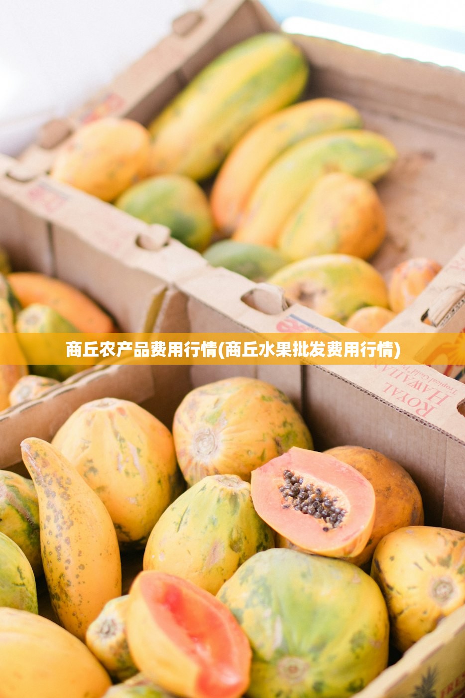 商丘农产品费用行情(商丘水果批发费用行情) 商丘农产品费用行情(商丘水果批发费用行情)