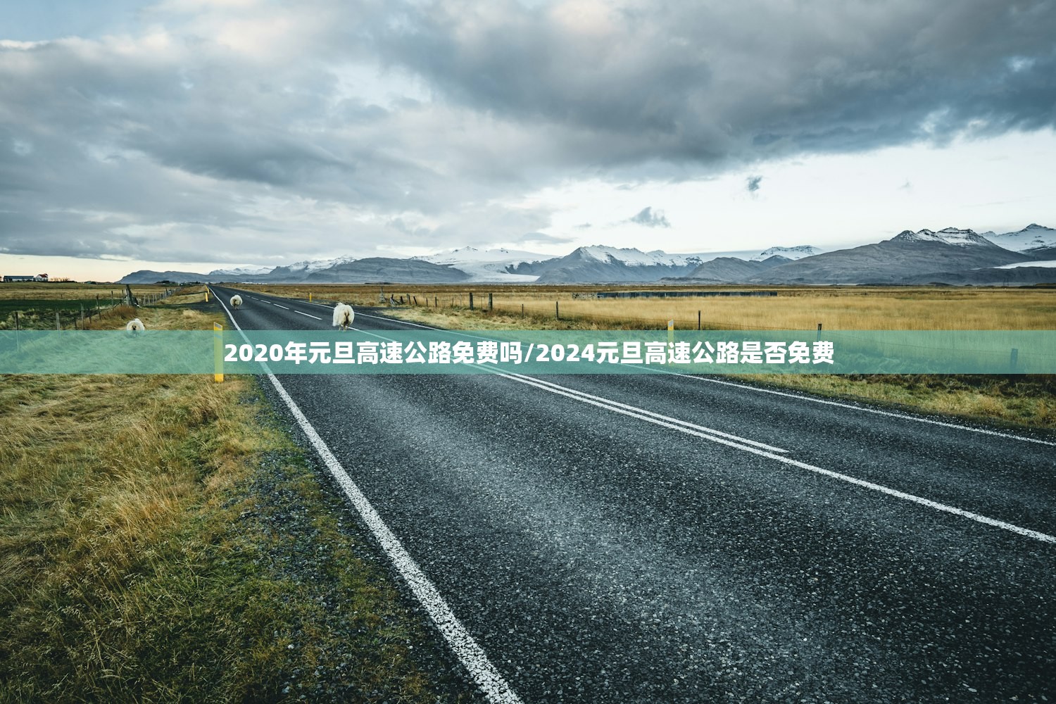 2020年元旦高速公路免费吗/2024元旦高速公路是否免费