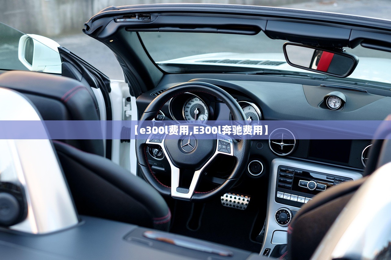 【e300l费用,E300l奔驰费用】