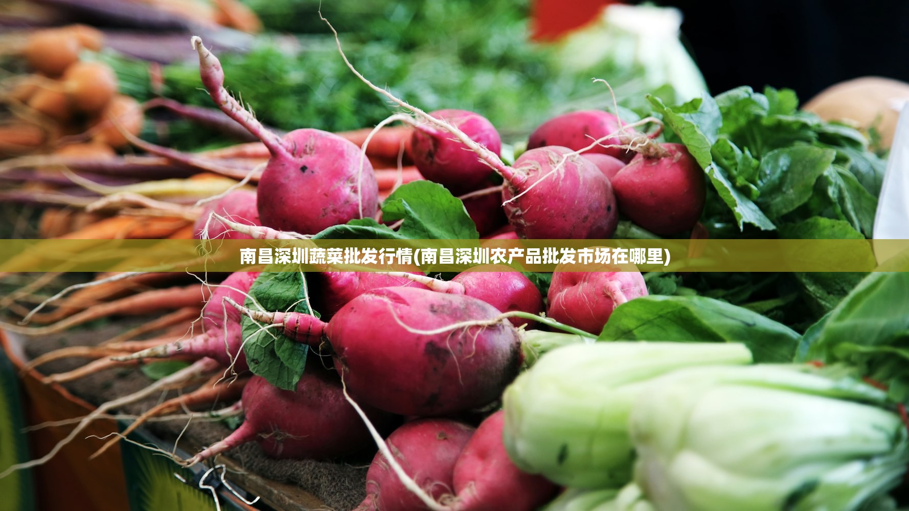 南昌深圳蔬菜批发行情(南昌深圳农产品批发市场在哪里) 南昌深圳蔬菜批发行情(南昌深圳农产品批发市场在哪里)