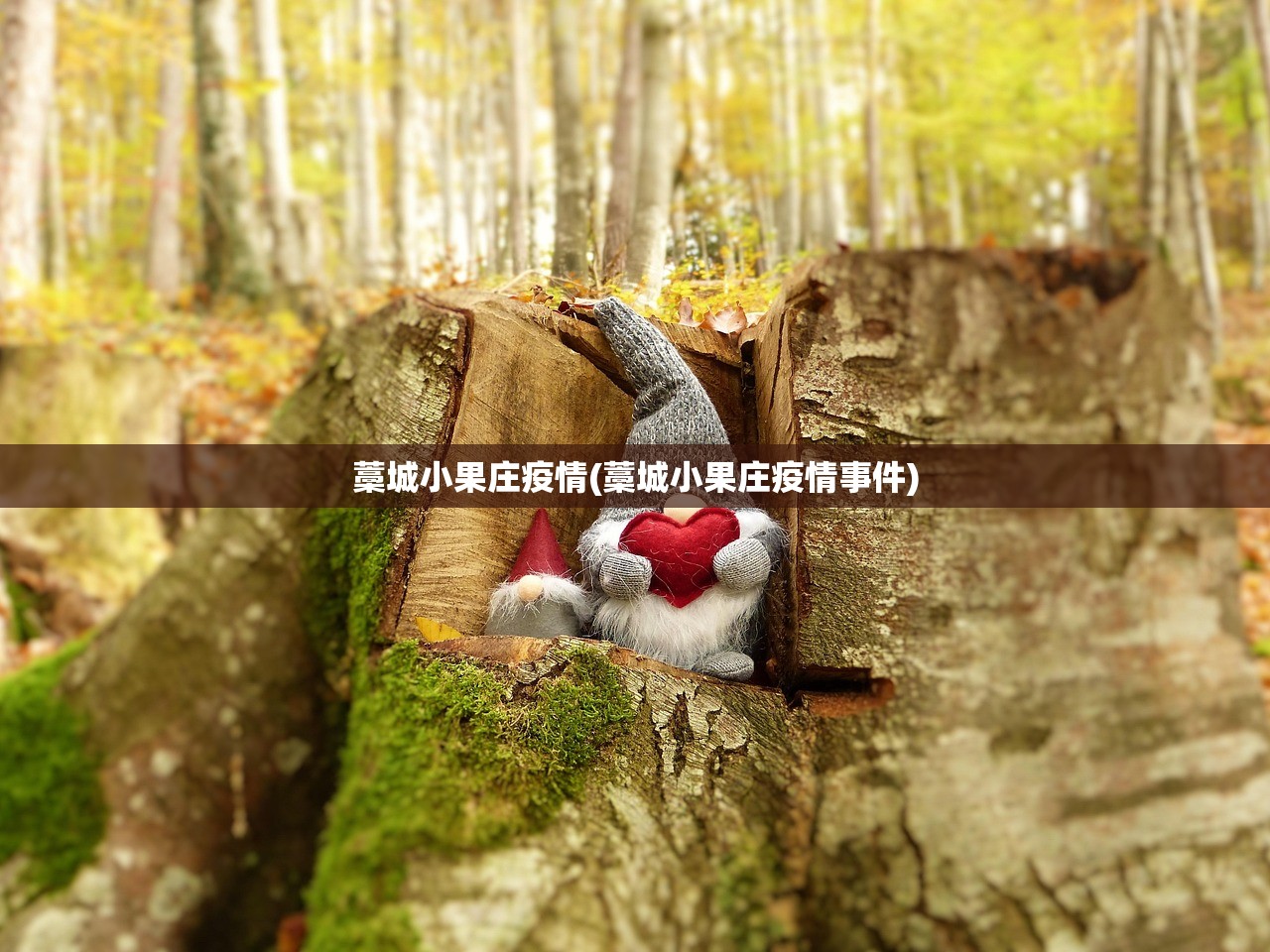 藁城小果庄疫情(藁城小果庄疫情事件) 藁城小果庄疫情(藁城小果庄疫情事件)