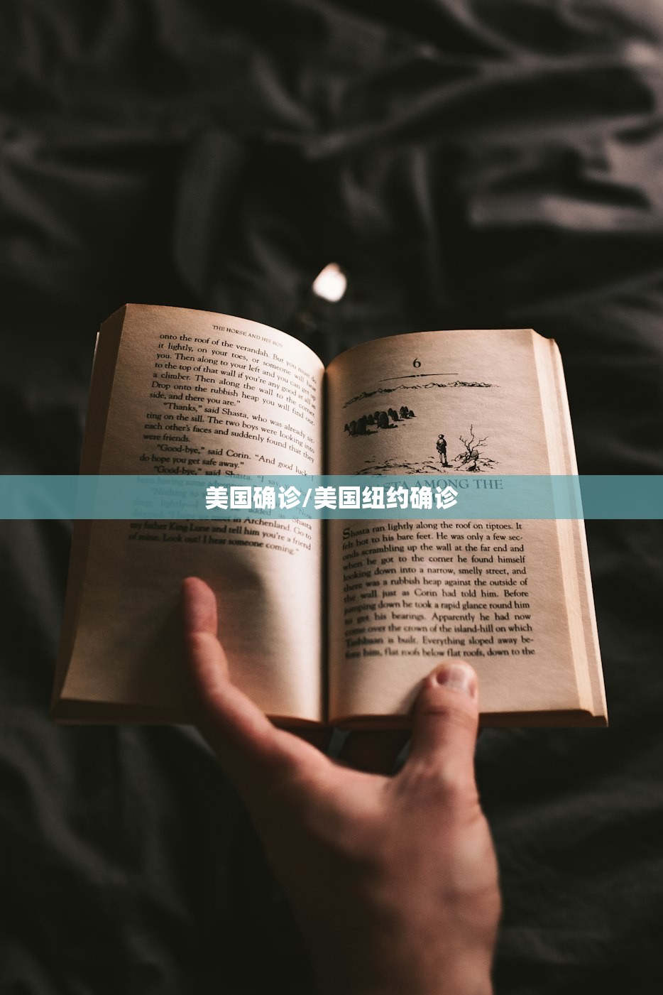 美国确诊/美国纽约确诊